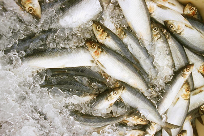 ආණ්ඩුව කුණු මාලු විකුණු බව හෙළි වේ!