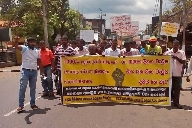 රු.1000ක දෛනික වැටුපක්, ඉල්ලා වතු සේවා උද්ඝෝෂණයක්!